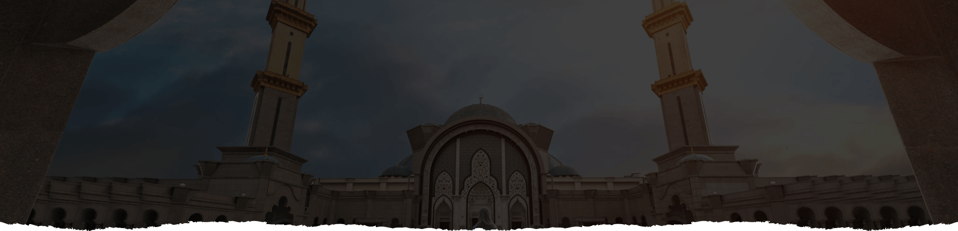 https://wdmic-mke.org/wp-content/uploads/2026/04/services-head-1-1.png